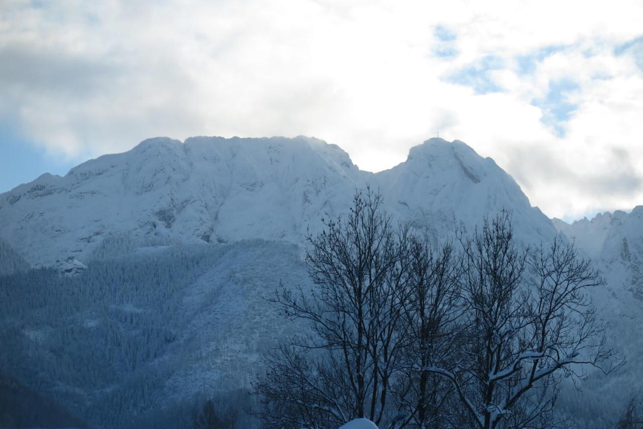 Pensjonat Jastrzebia Turnia Hotel Zakopane Luaran gambar