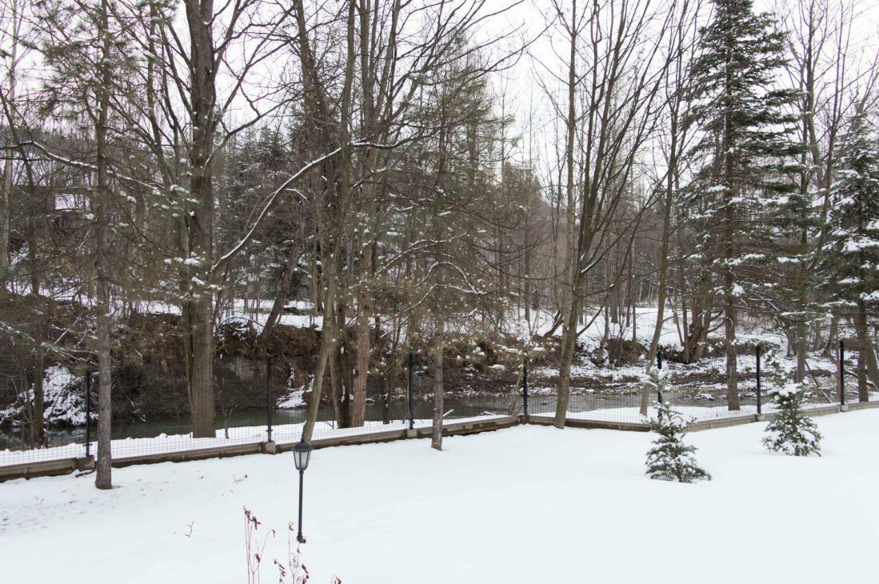 Pensjonat Jastrzebia Turnia Hotel Zakopane Luaran gambar